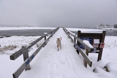 Update Snow Expected Rockport Manchester Announce Parking Bans