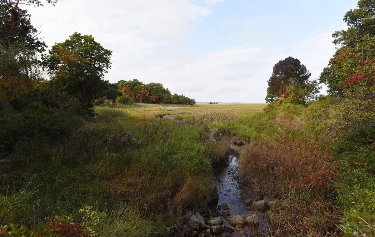 Fall coming to marsh