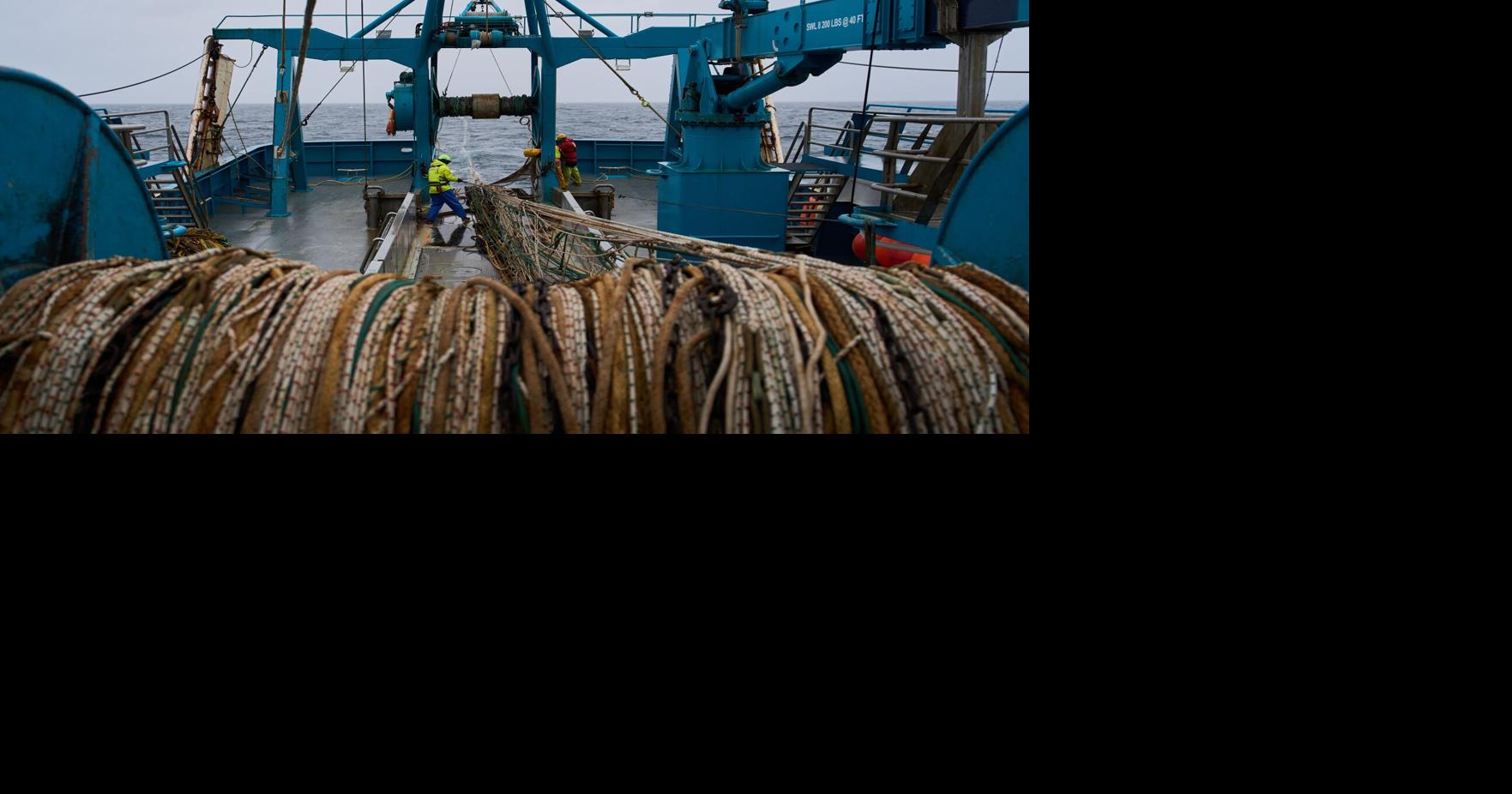 Trawl fishing catches huge amounts of seafood. It can also devastate ...
