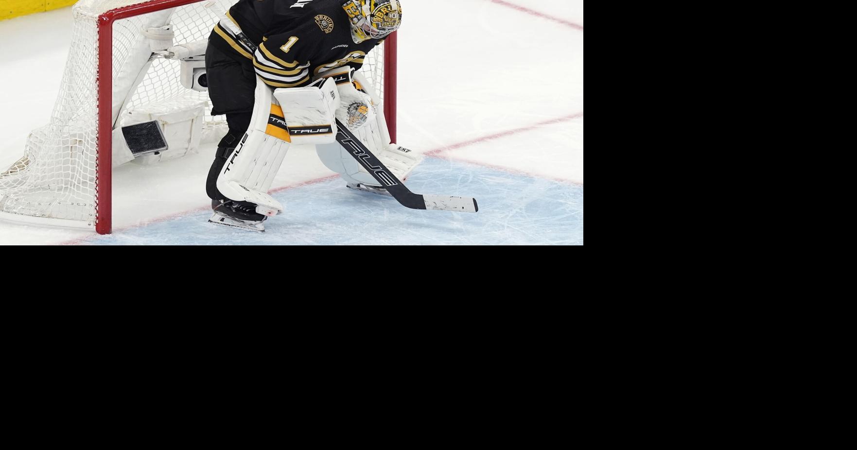 Panthers Bruins Hockey