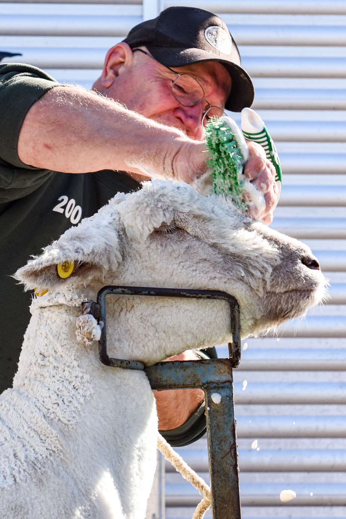 Topsfield Fair preparations