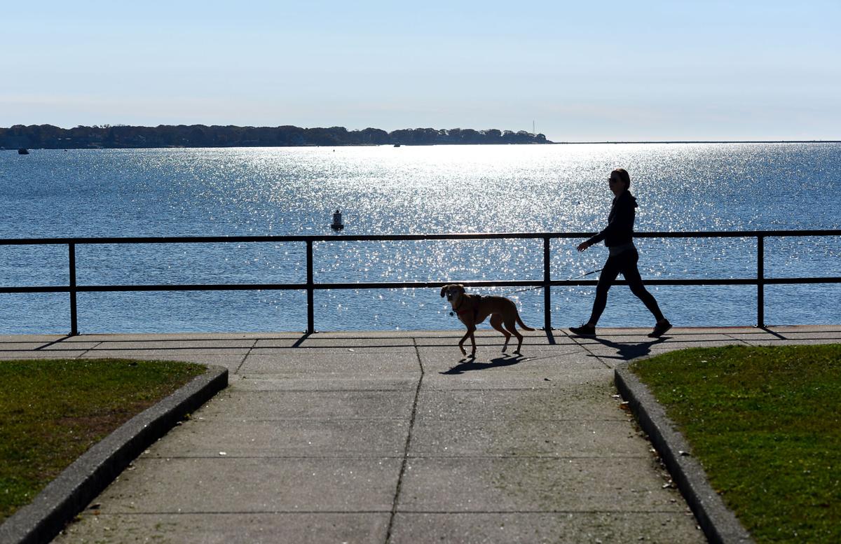 Enjoying a stroll in the sun