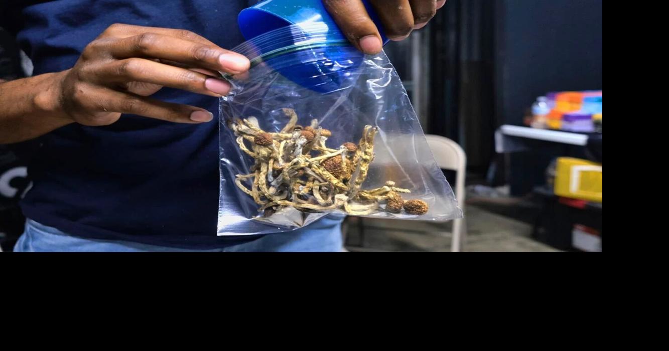 Legalization of 'magic' mushrooms back in the running | Local News ...