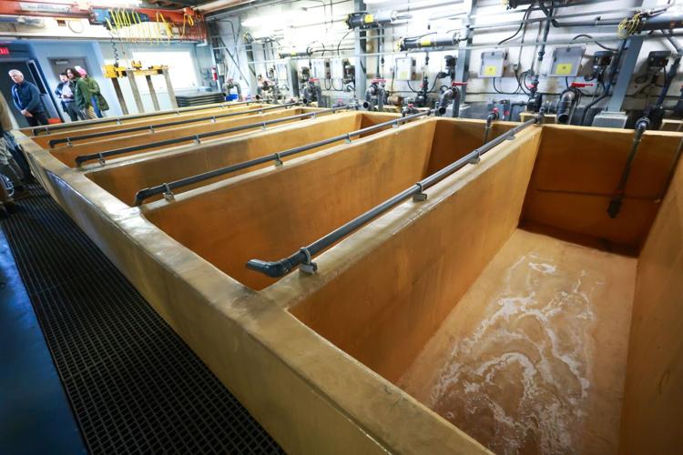 State gives tour of closed PI purification plant | Fishing Industry ...