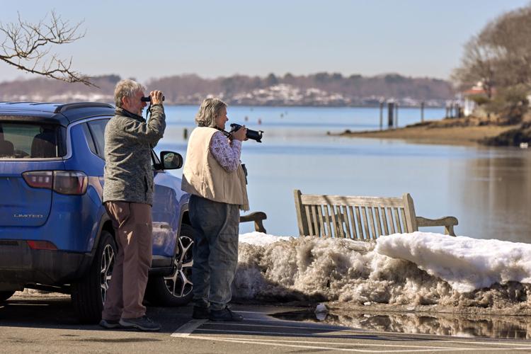 SLIDESHOW: Feature photos for March 2026 | Multimedia | gloucestertimes.com