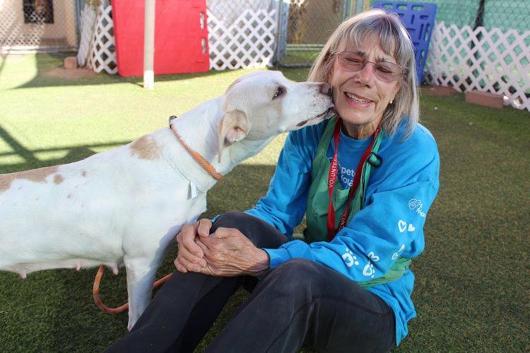 Six ways to help at an animal shelter | Lifestyle | gloucestertimes.com