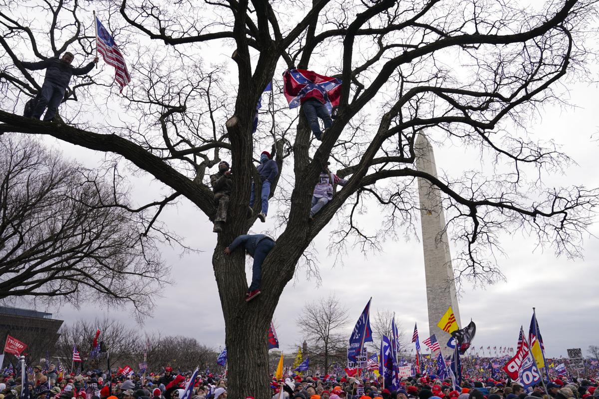 Electoral College Photo Gallery