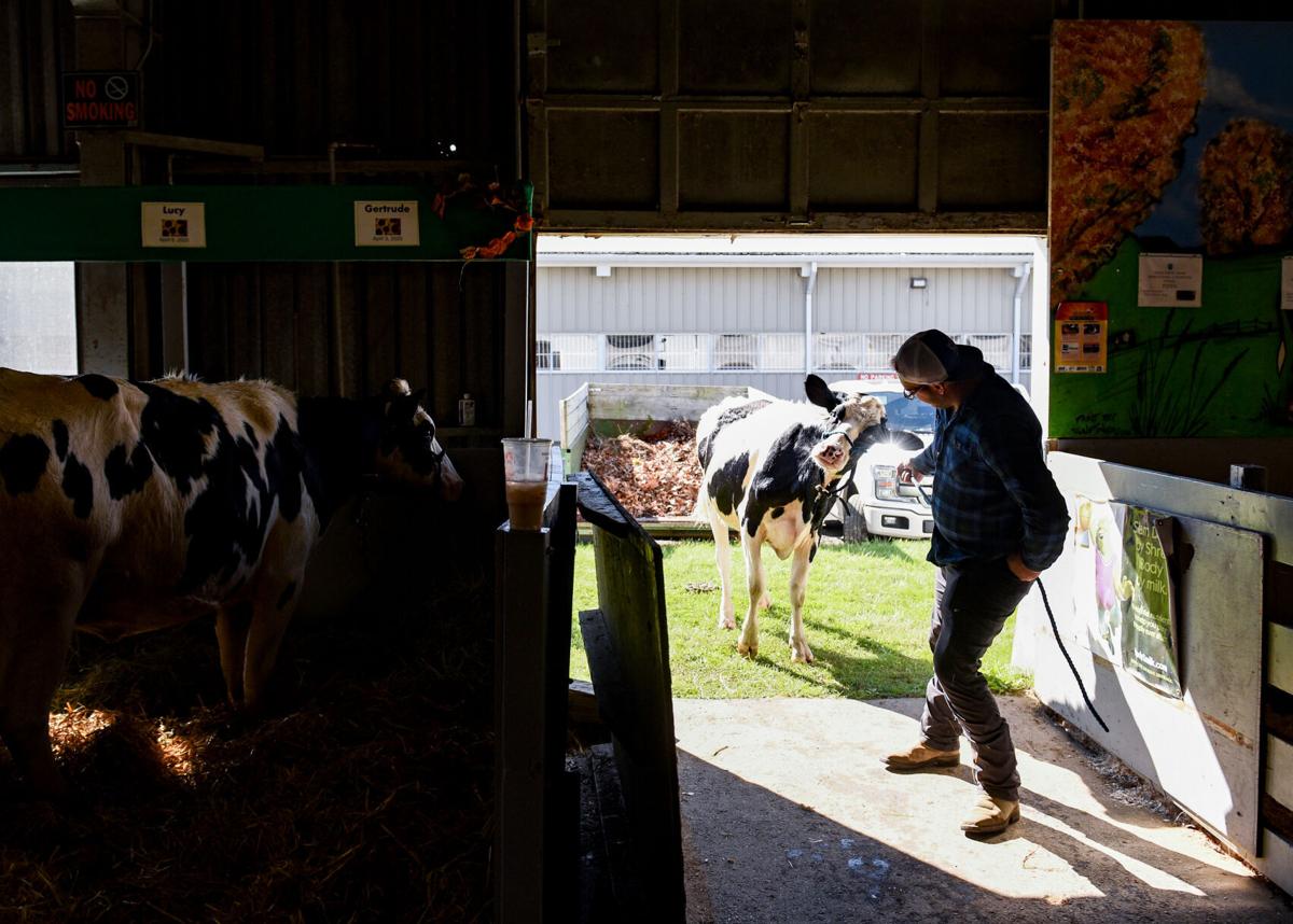 Topsfield Fair preparations