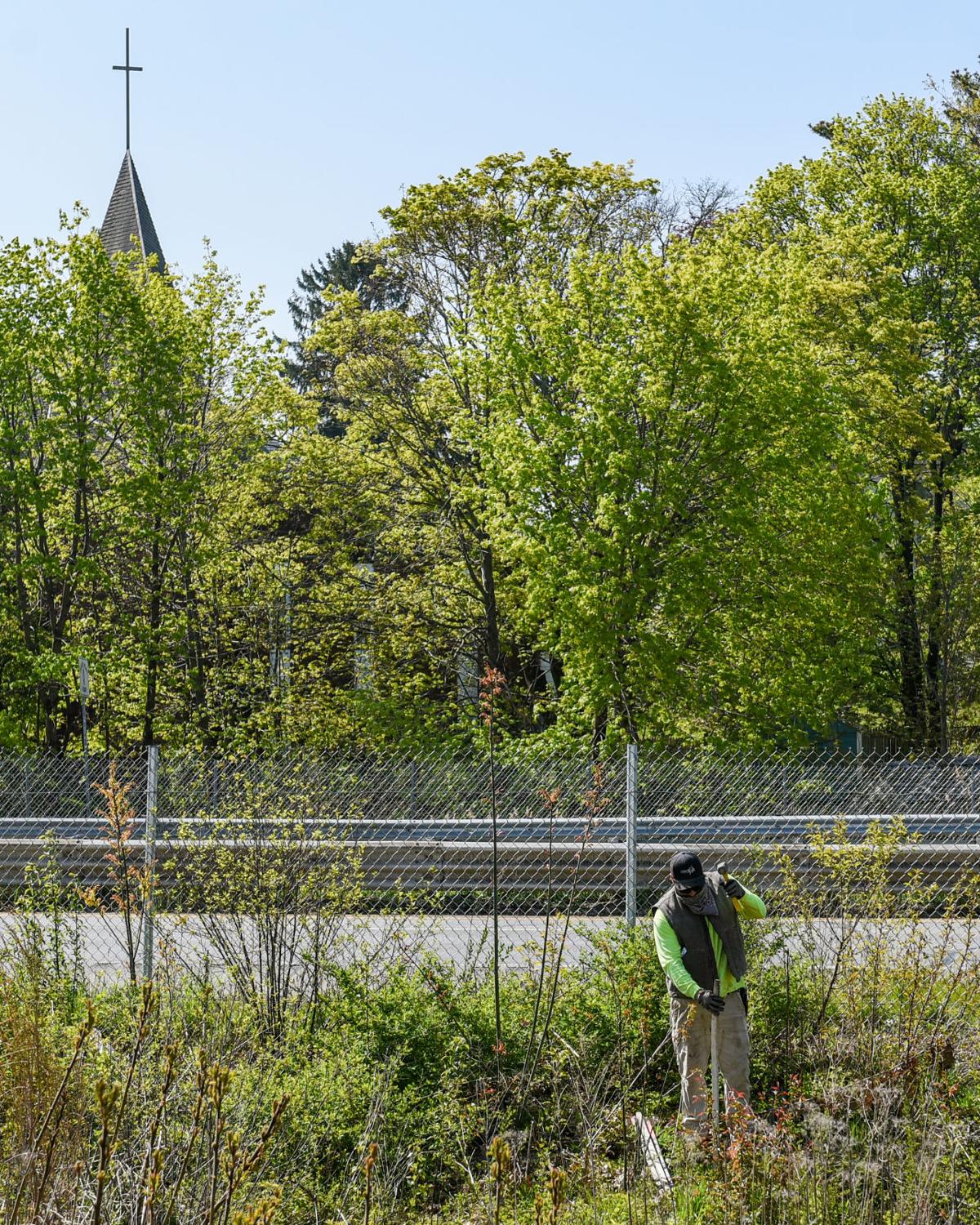 60 trees being planted at White Ellery House off Grant Circle