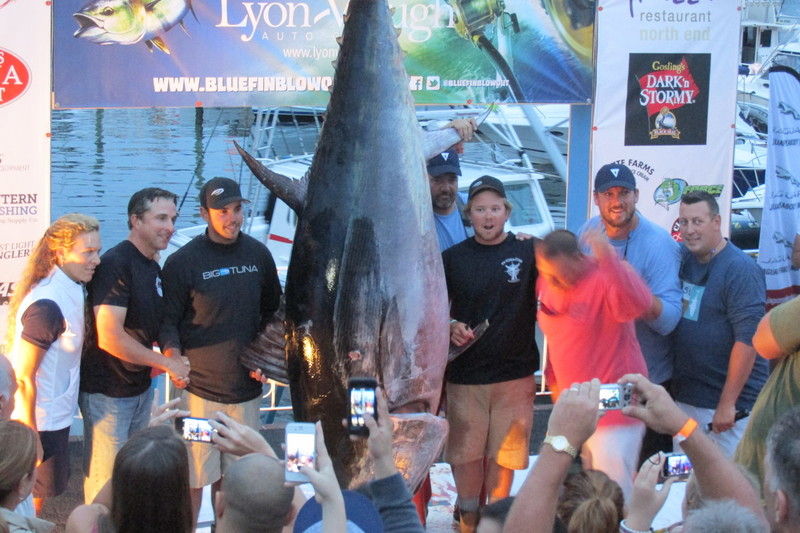 Midshore Mayhem: A Bluefin Blow Out - The Fisherman