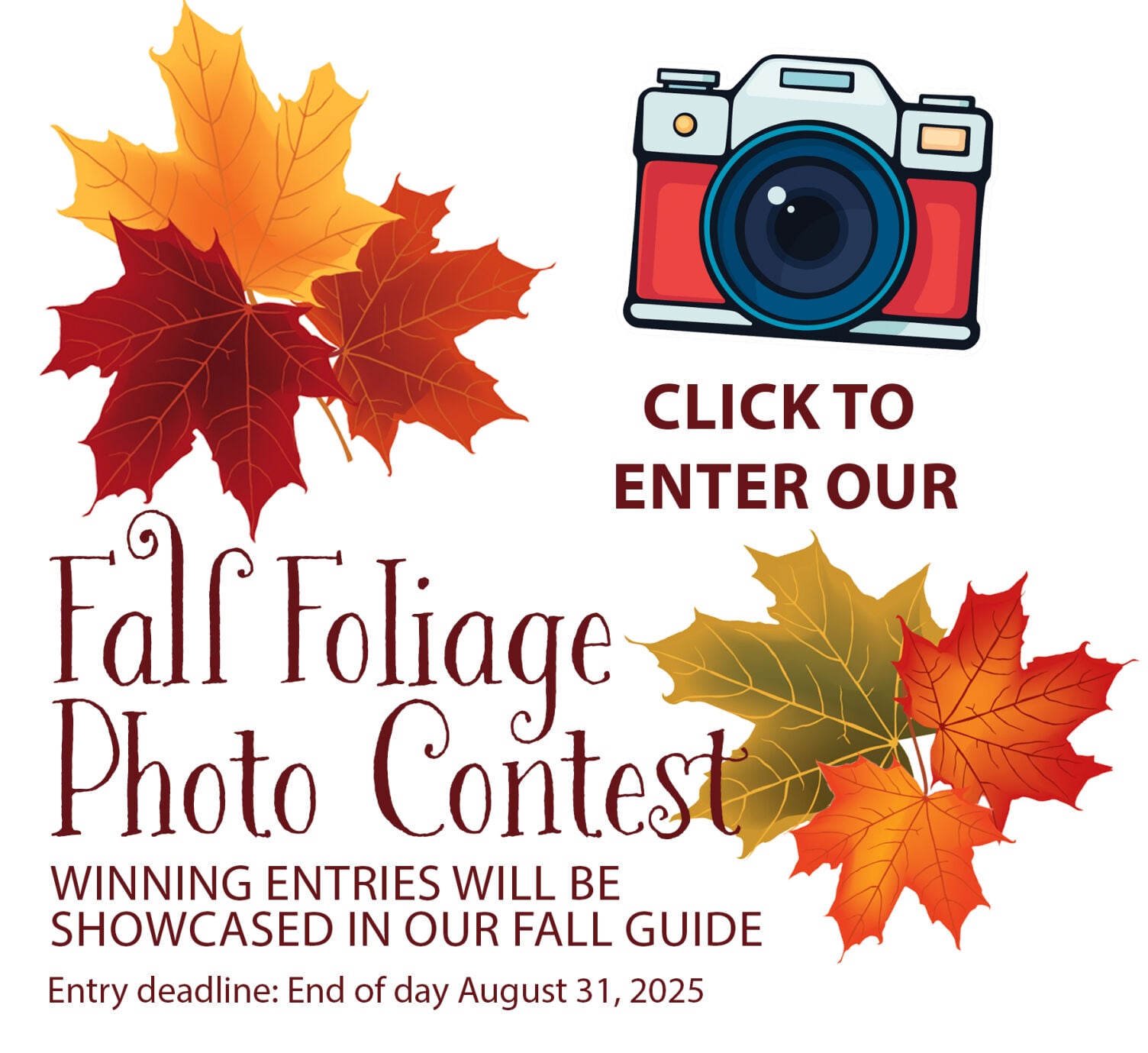 News gloucestertimes com