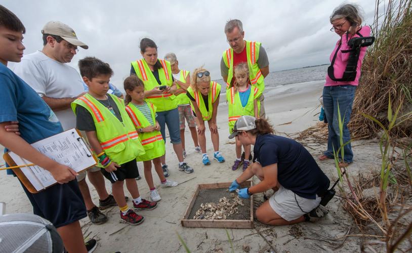 10 activities for animal lovers Features