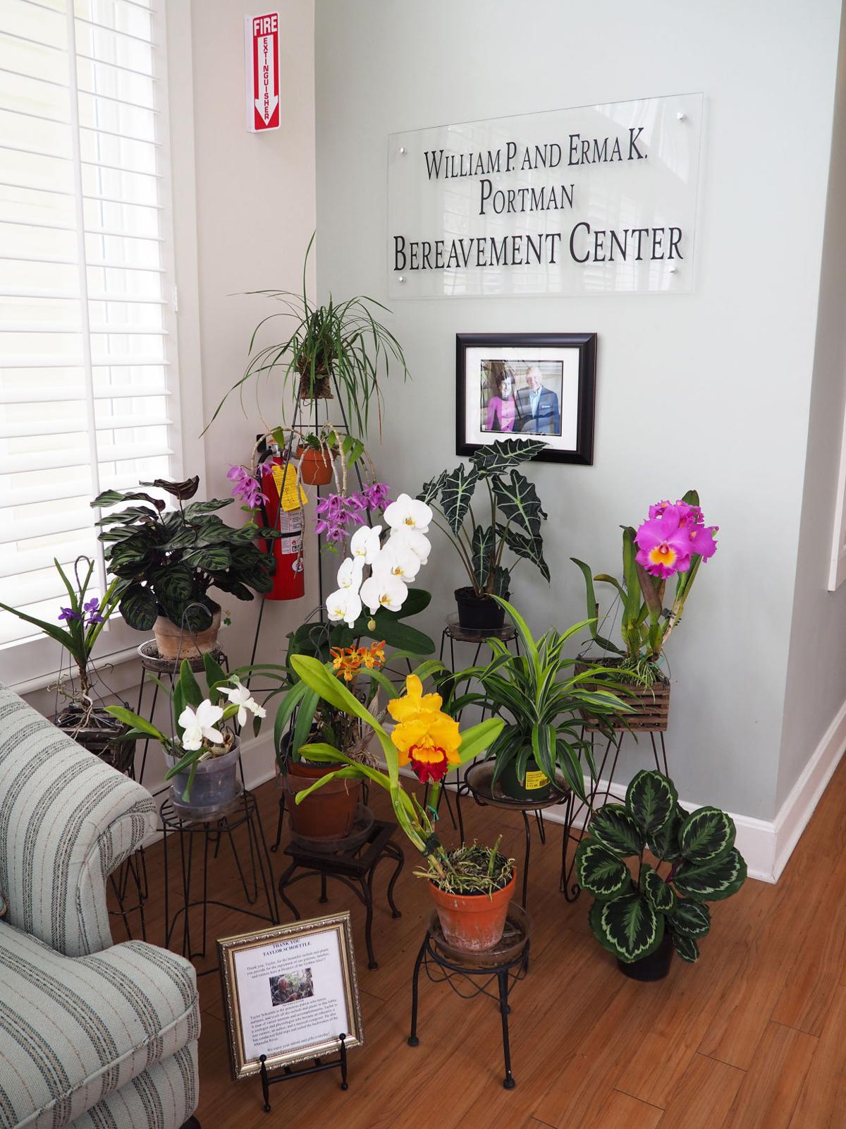 An Ode To Orchids Golden Isles Magazine Features