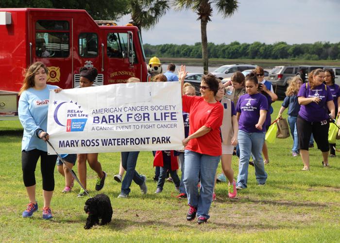 10 activities for animal lovers Features