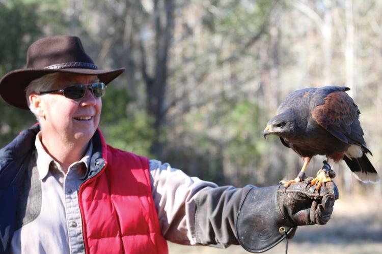 Raptor Rapture | Features | goldenislesmagazine.com