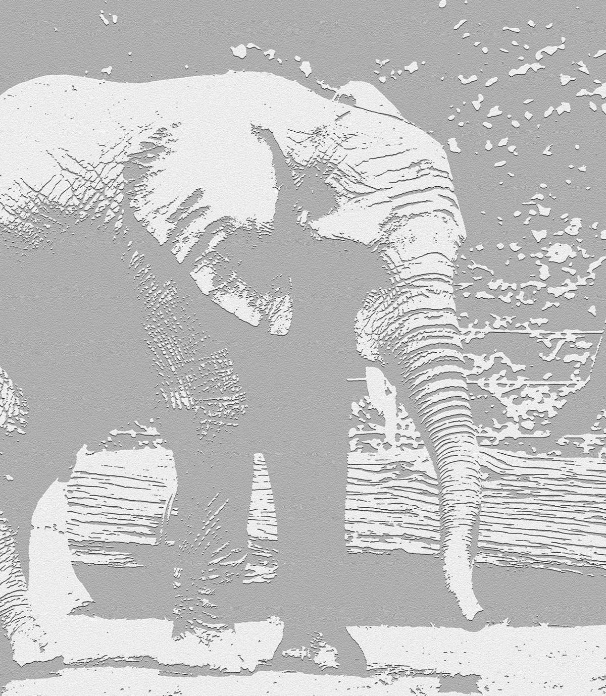 10 activities for animal lovers Features