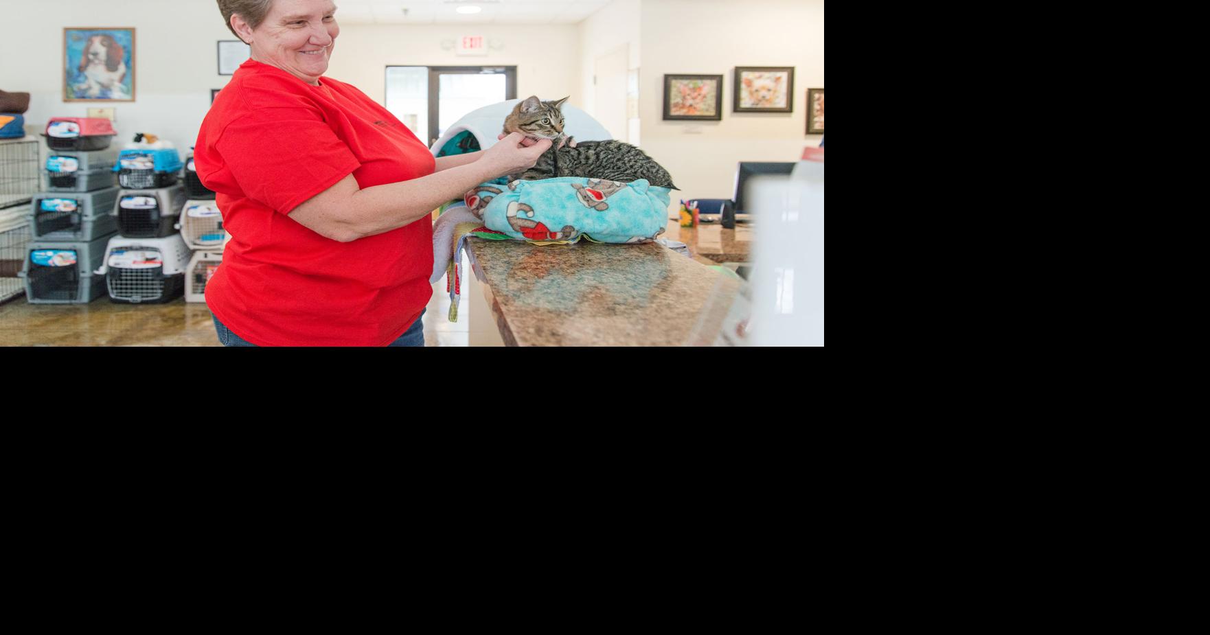 By Hand Bonnie Miller the cat whisperer