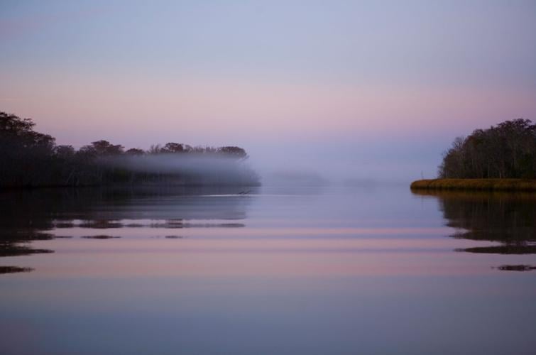 10 activities for animal lovers Features