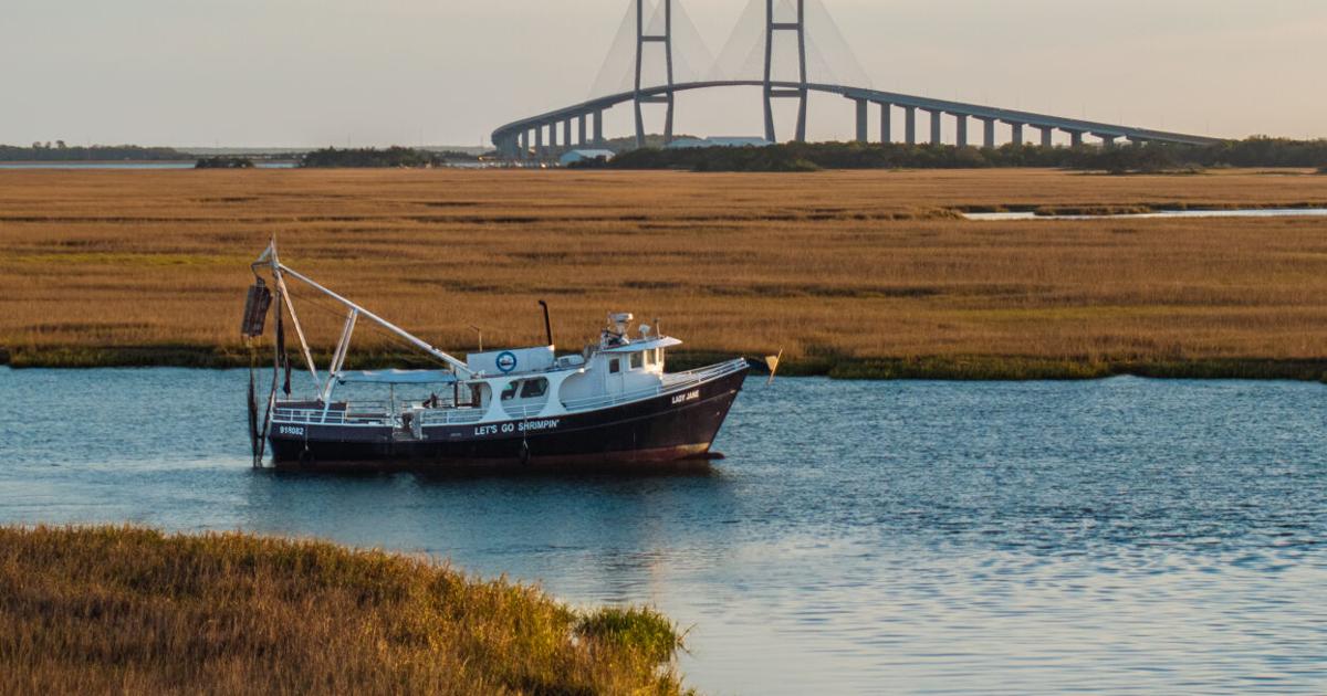 Setting Sail: Trawling with the Lady Jane