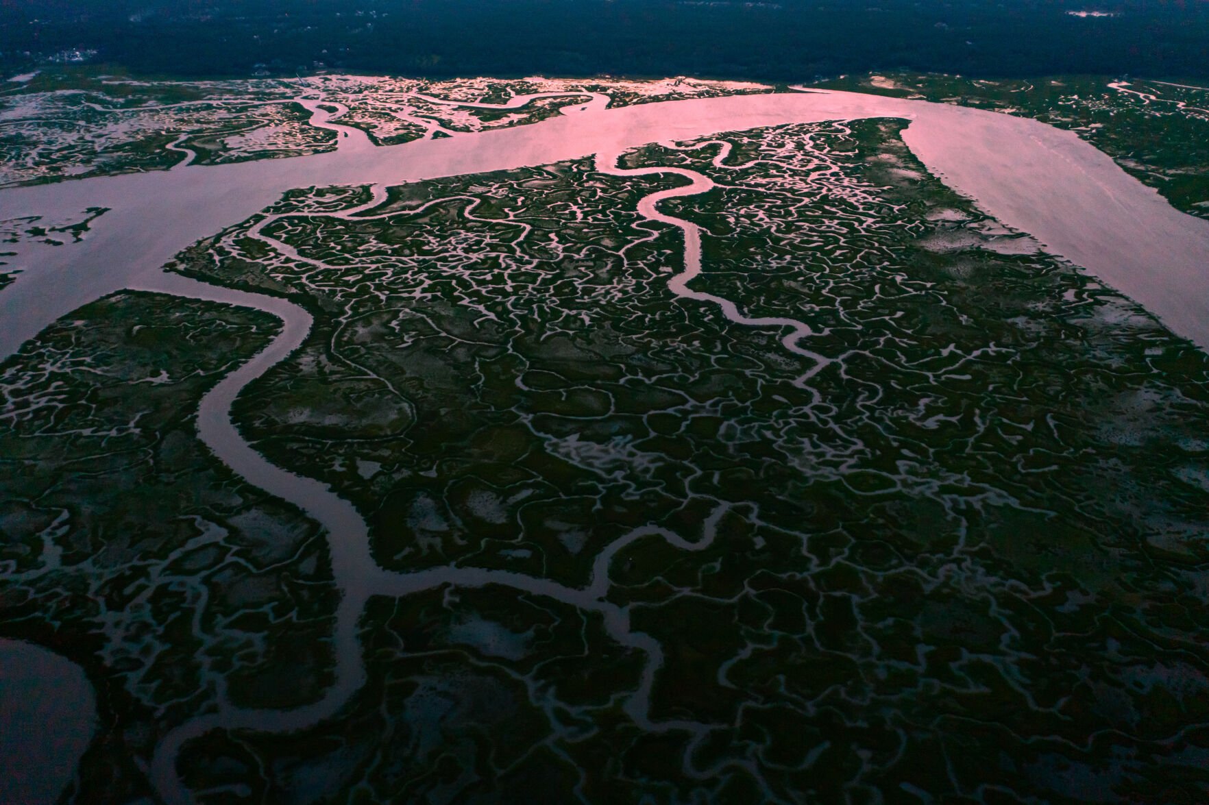 Nature Connection: Savoring The Salt Marsh | Gim Columns ...