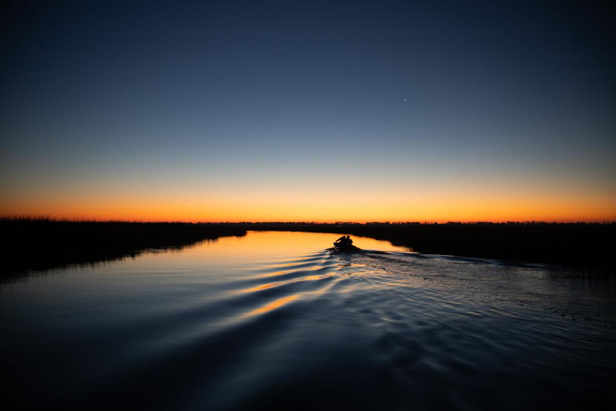 Nature Connection: Salt water raised me - Golden Isles Magazine 