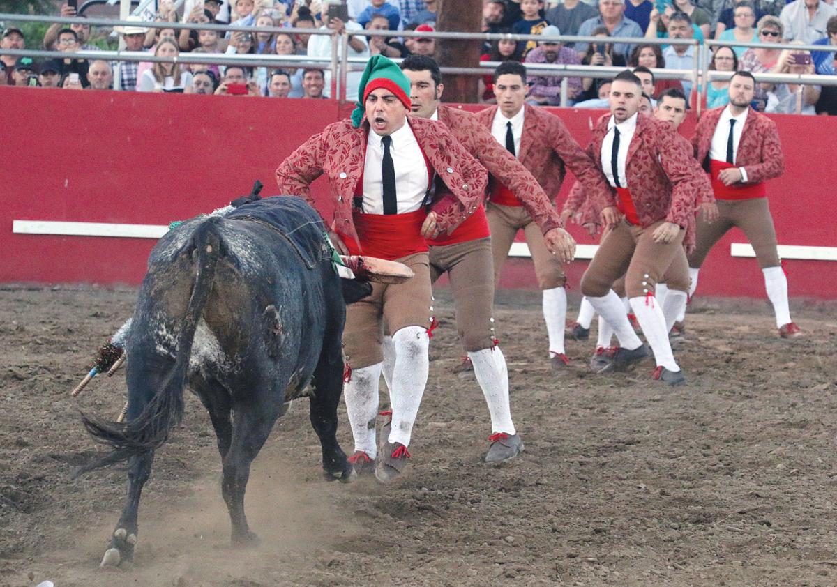 Crowd gathers for annual bullfights Tracy Press News