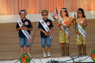 Little Mr. and Miss Apricot