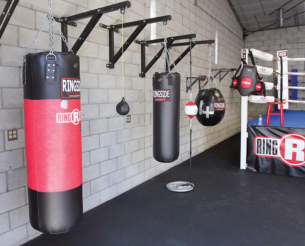 Punching Bags At Sports Authority Building Materials