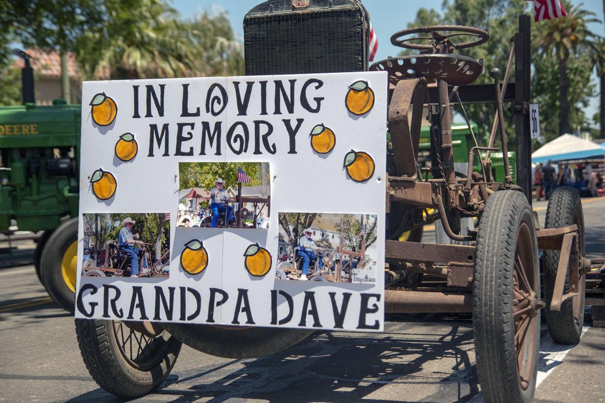 2019 Apricot Fiesta