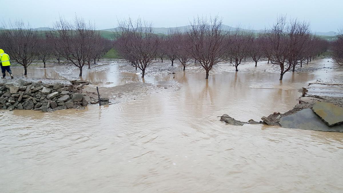Weekend rains, wind strike Patterson Patterson Irrigator