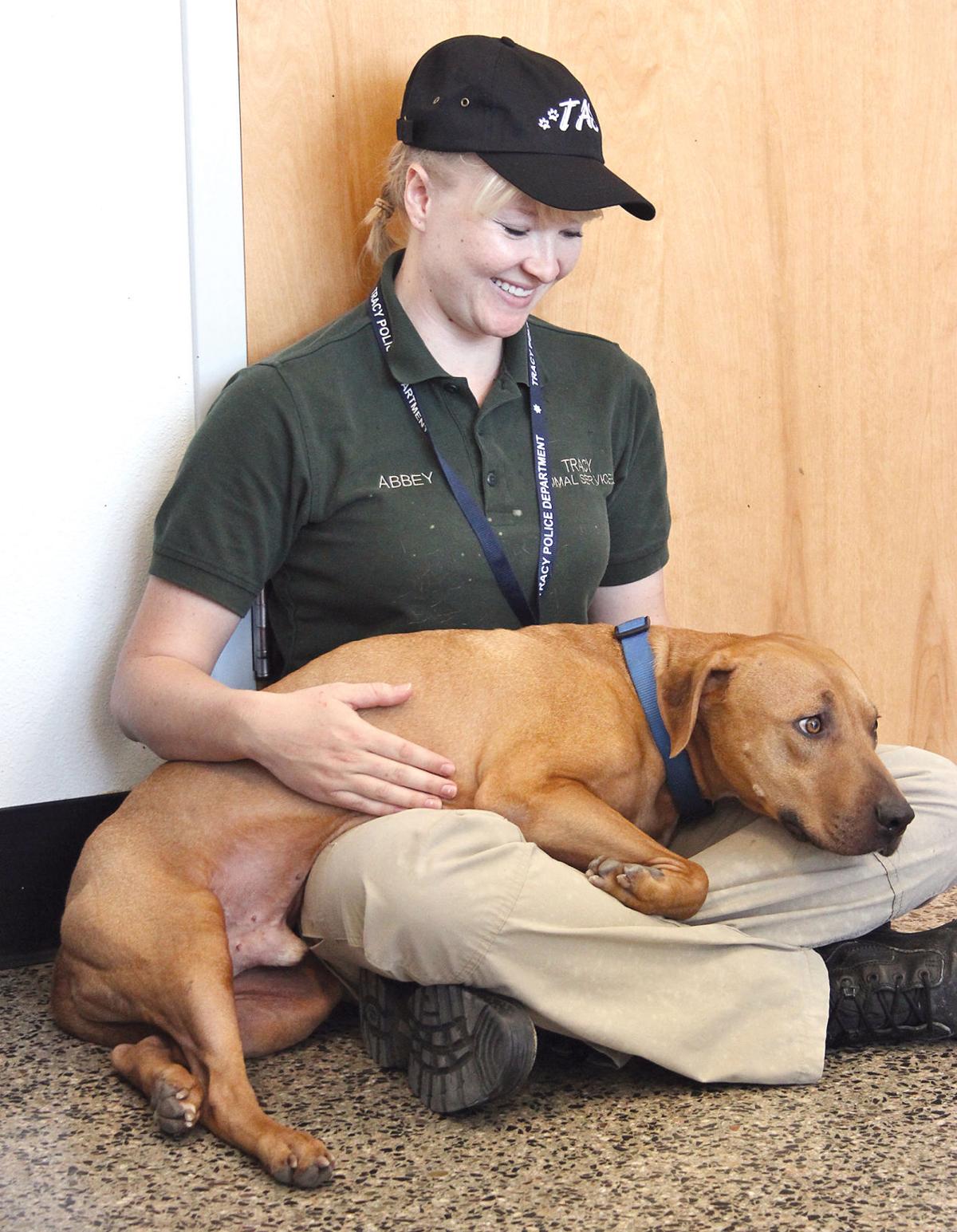 Comeback story Tracy Press News