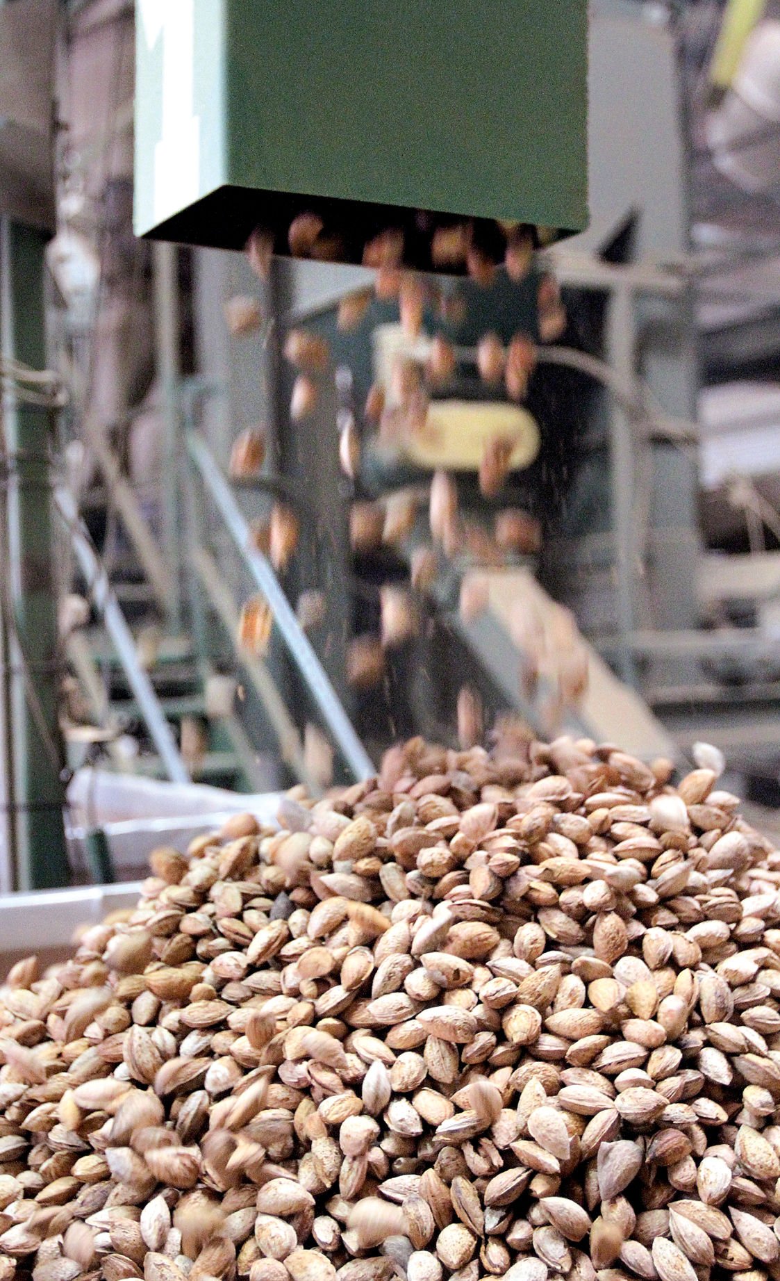 Tracy’s growing almond harvest | Tracy Press News ...