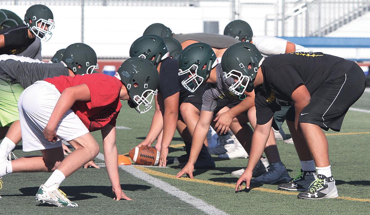 Tracy High Bulldogs bring strong foundation to 2018 Tracy Press