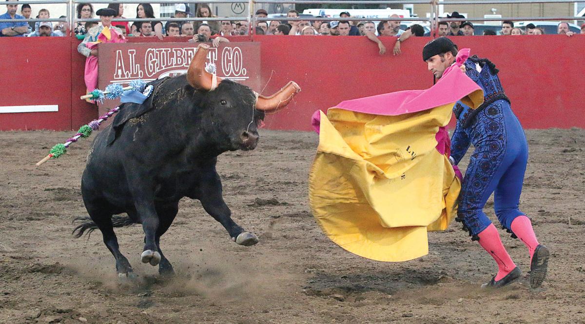 Bloodless bullfights end festa Tracy Press