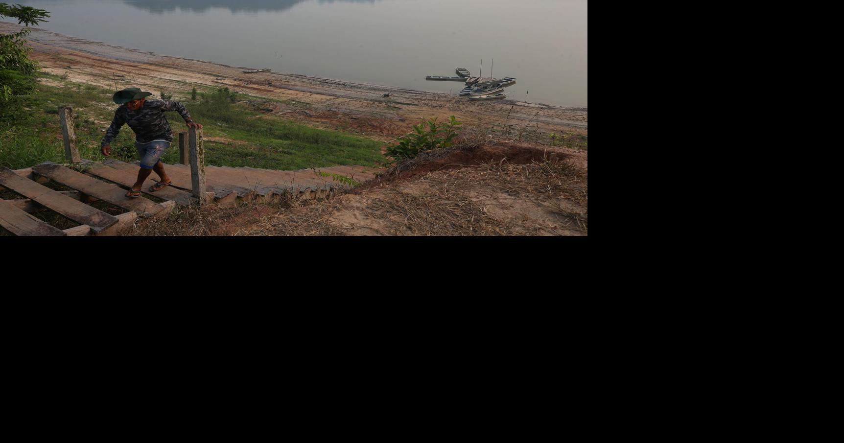 Brazil Elections Amazon Rainforest | National News | goshennews.com