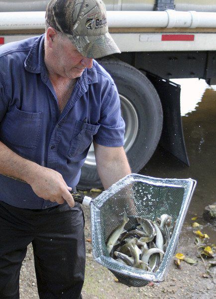 Gollon Bait & Fish Farm