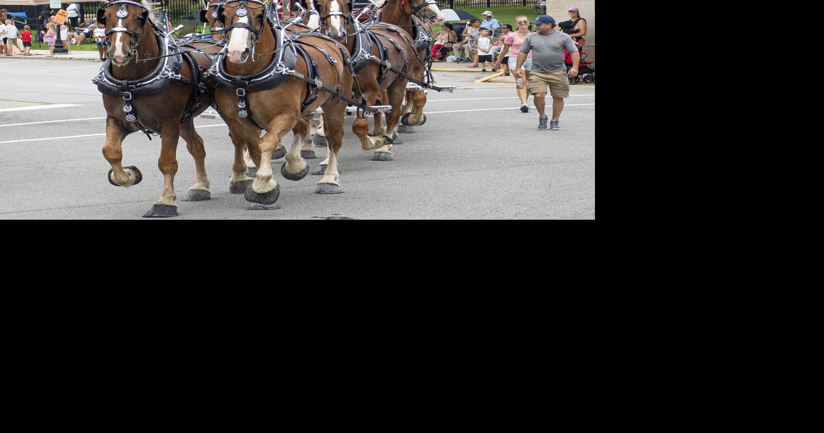 2023 Elkhart County 4H Fair parade lineup announced News