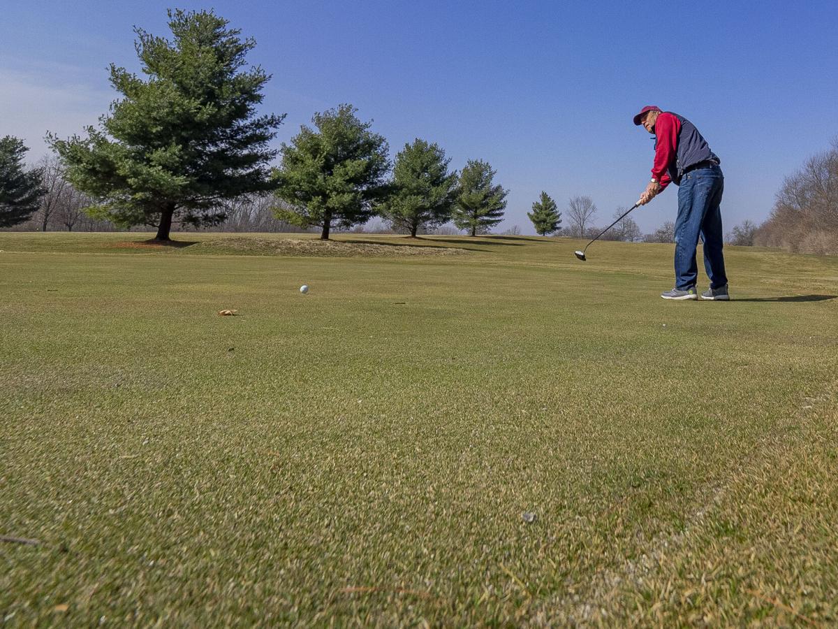 In the Swing of Spring