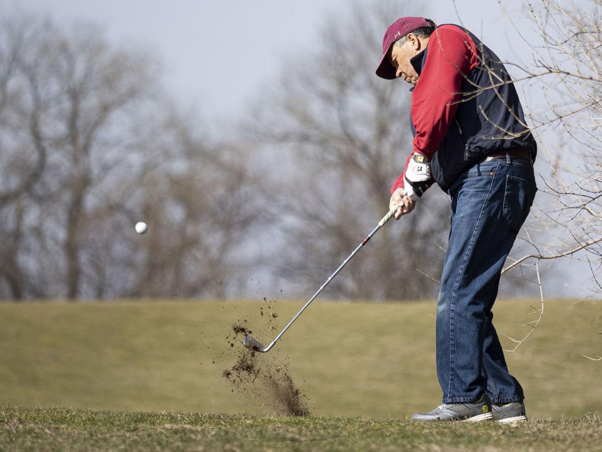 In the Swing of Spring
