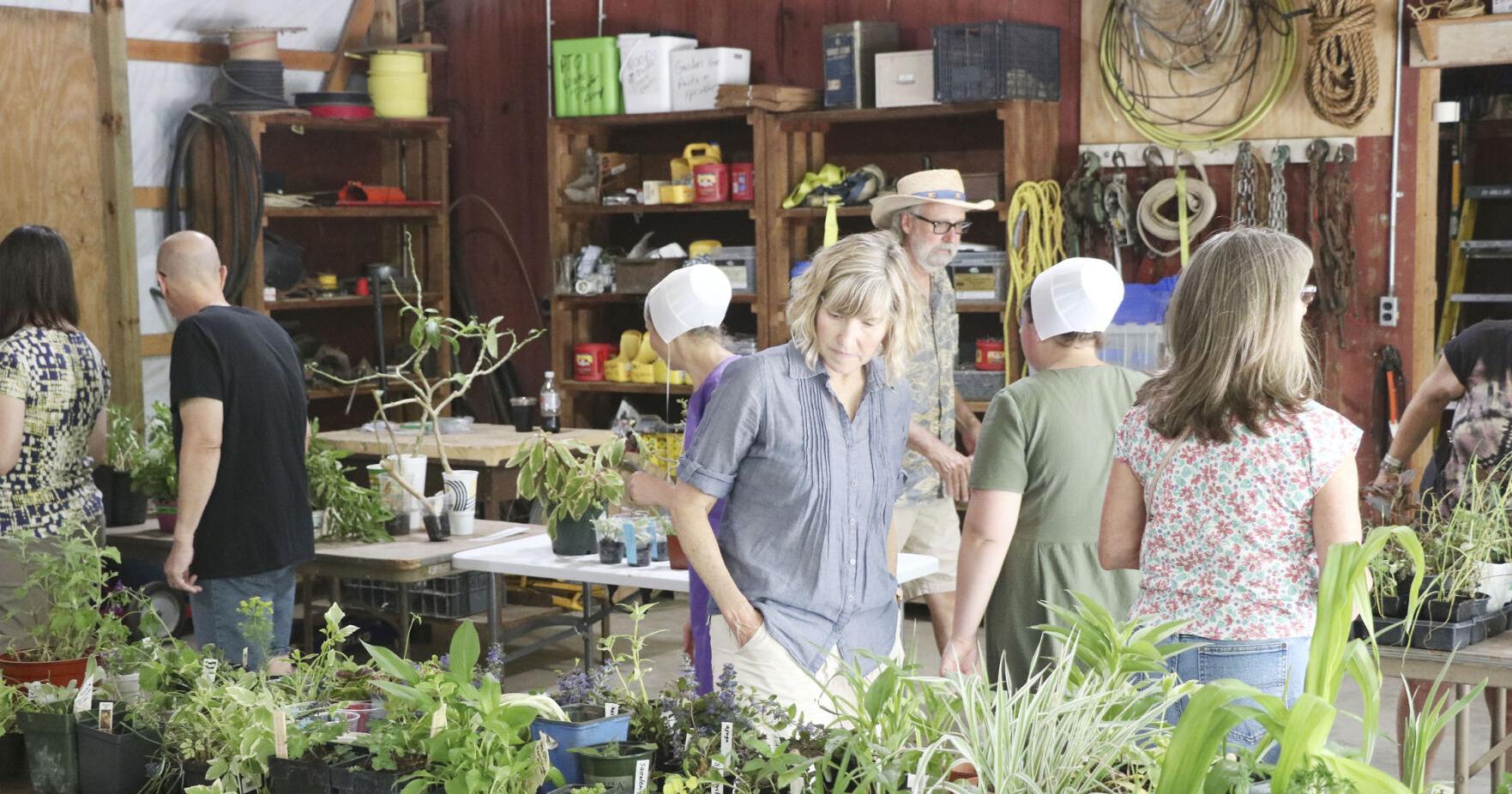 Plant exchange brings fans to New Paris once again - Vimarsana News