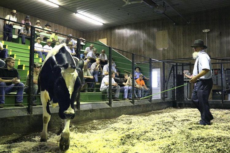 SPOTLIGHT ON TOPEKA Livestock auction is a 'staple in the community