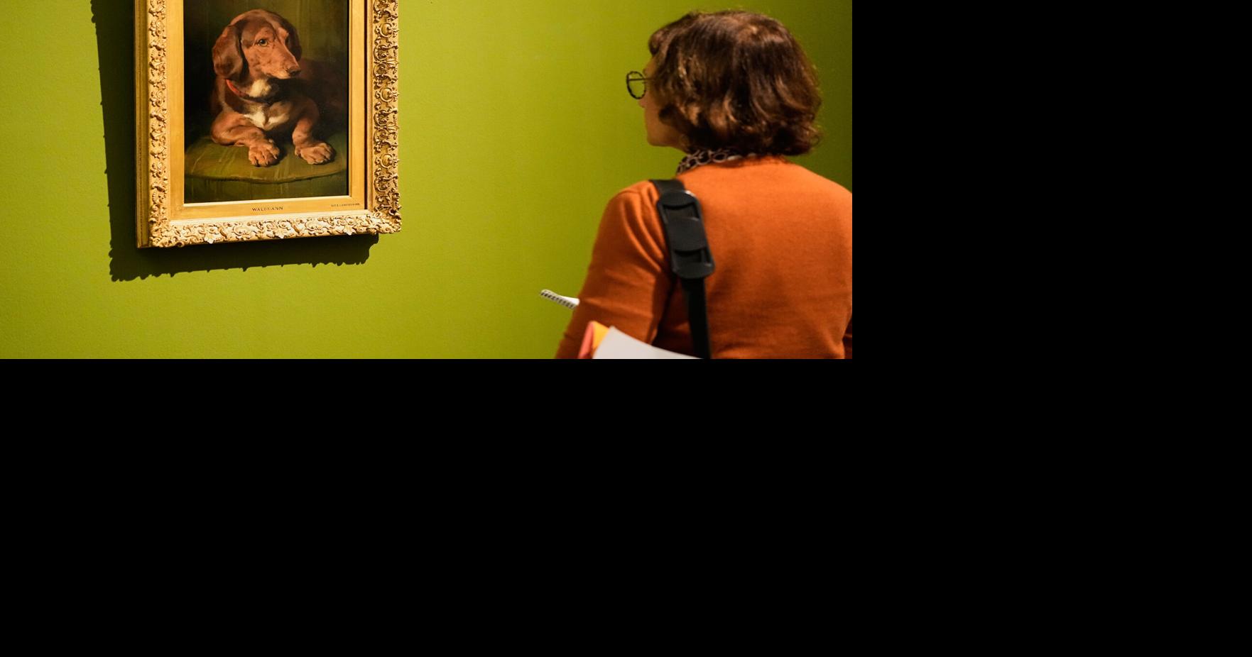 Germany Dachshund Art Exhibition | National News | goshennews.com