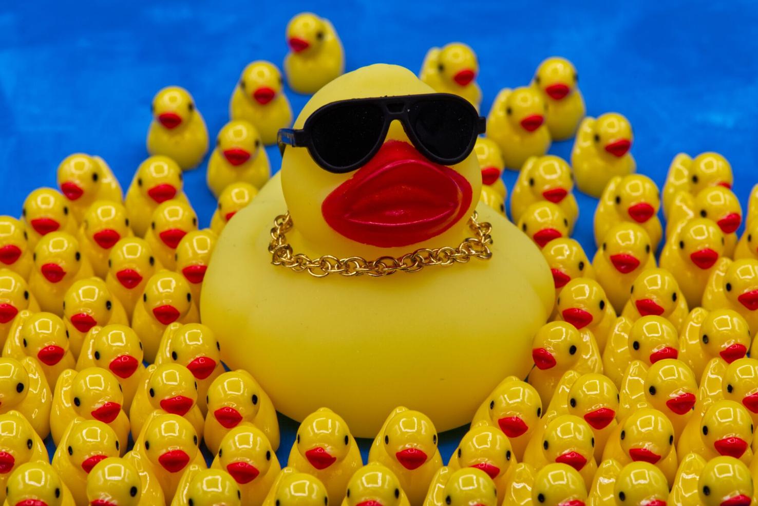 Cold Objcts America 250 Objects Rubber Duck | National News | goshennews.com