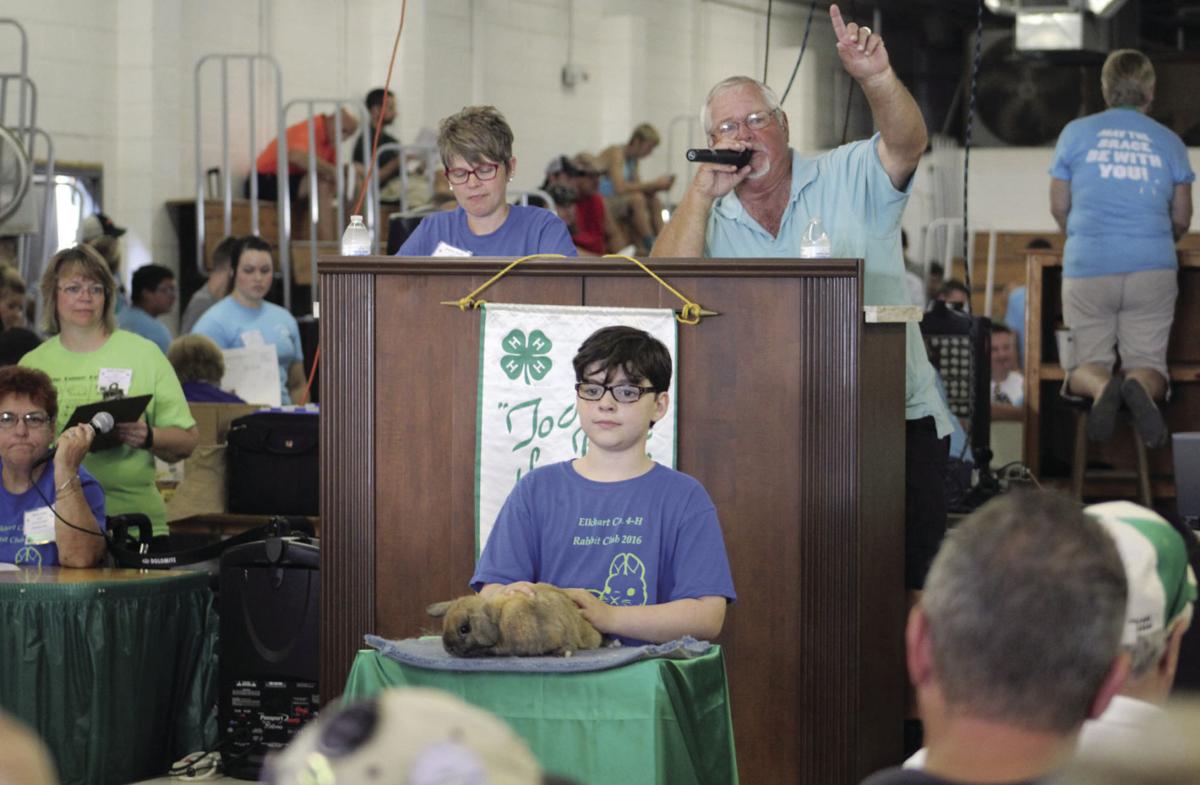 4H livestock auction nets 1.2 million Elkhart County 4h Fair