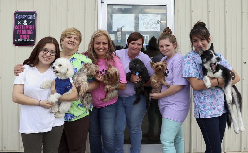 happy tails dog grooming