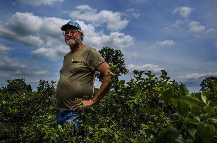 THANK A HOOSIER FARMER Wakarusa blueberry farmer opens his fields to