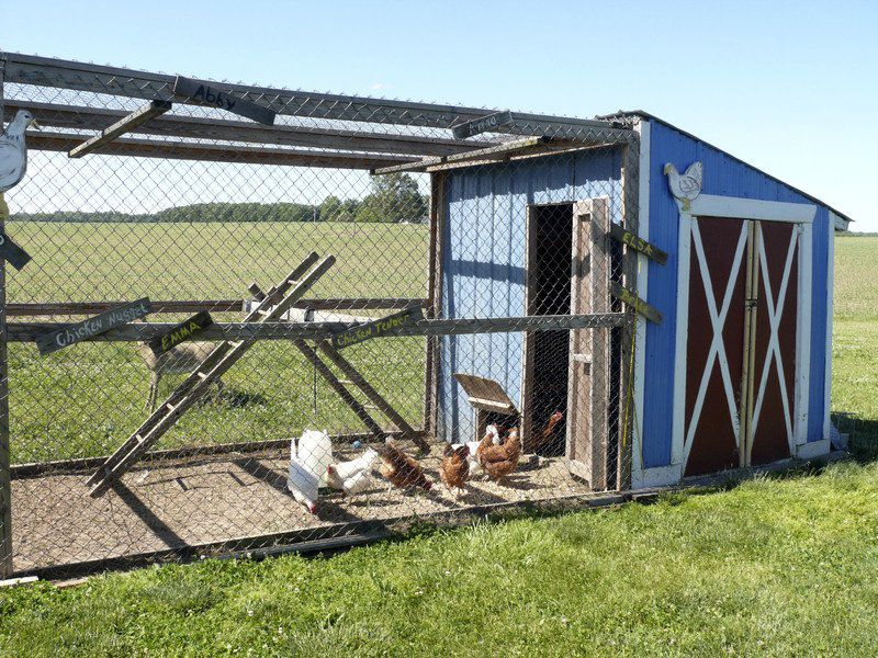 Lake Country Escapades Blue Barn Berry Farm A Destination U Pick
