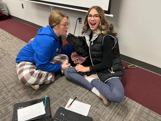 Jimtown finds therapy dogs a joy News