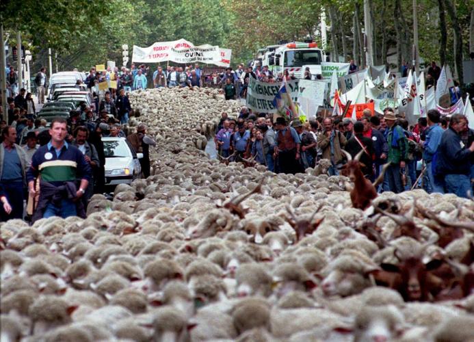 The history behind France's proud tradition of protests | National News ...