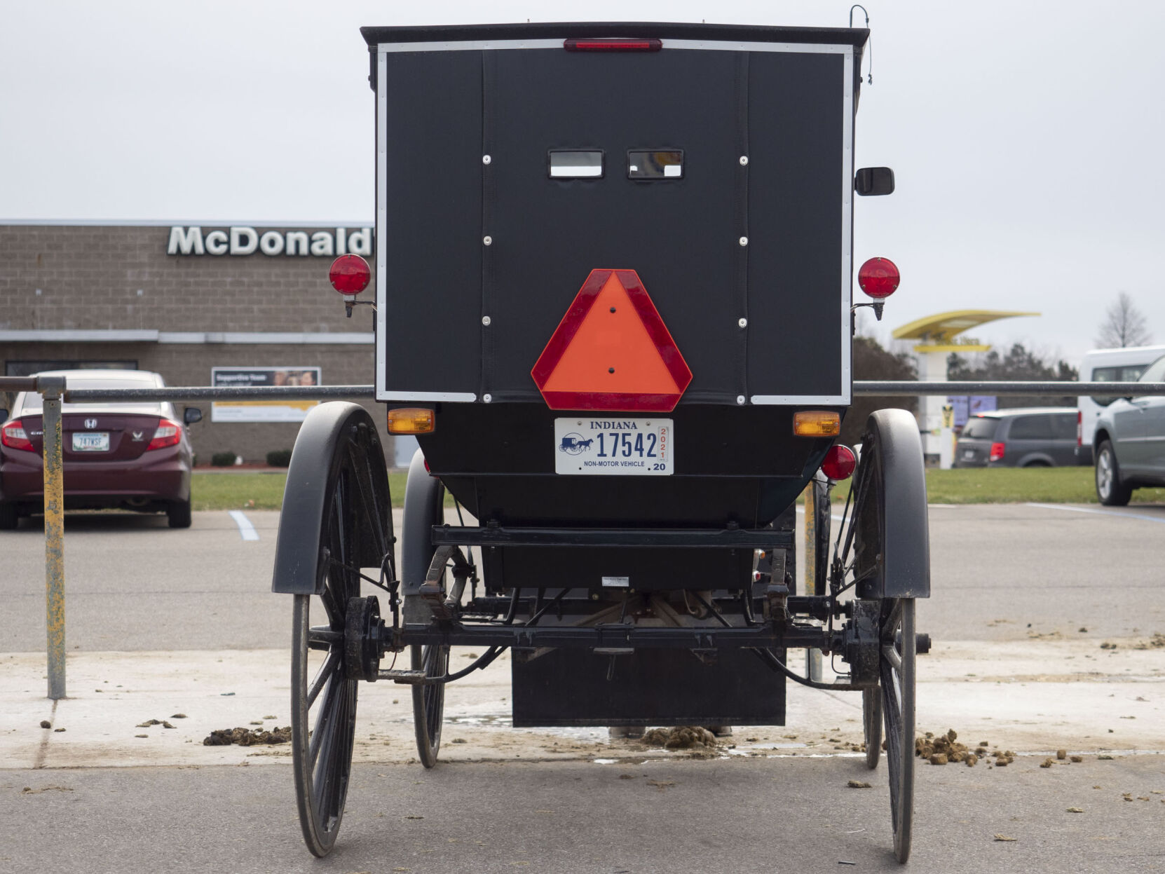 Buggy license 2024